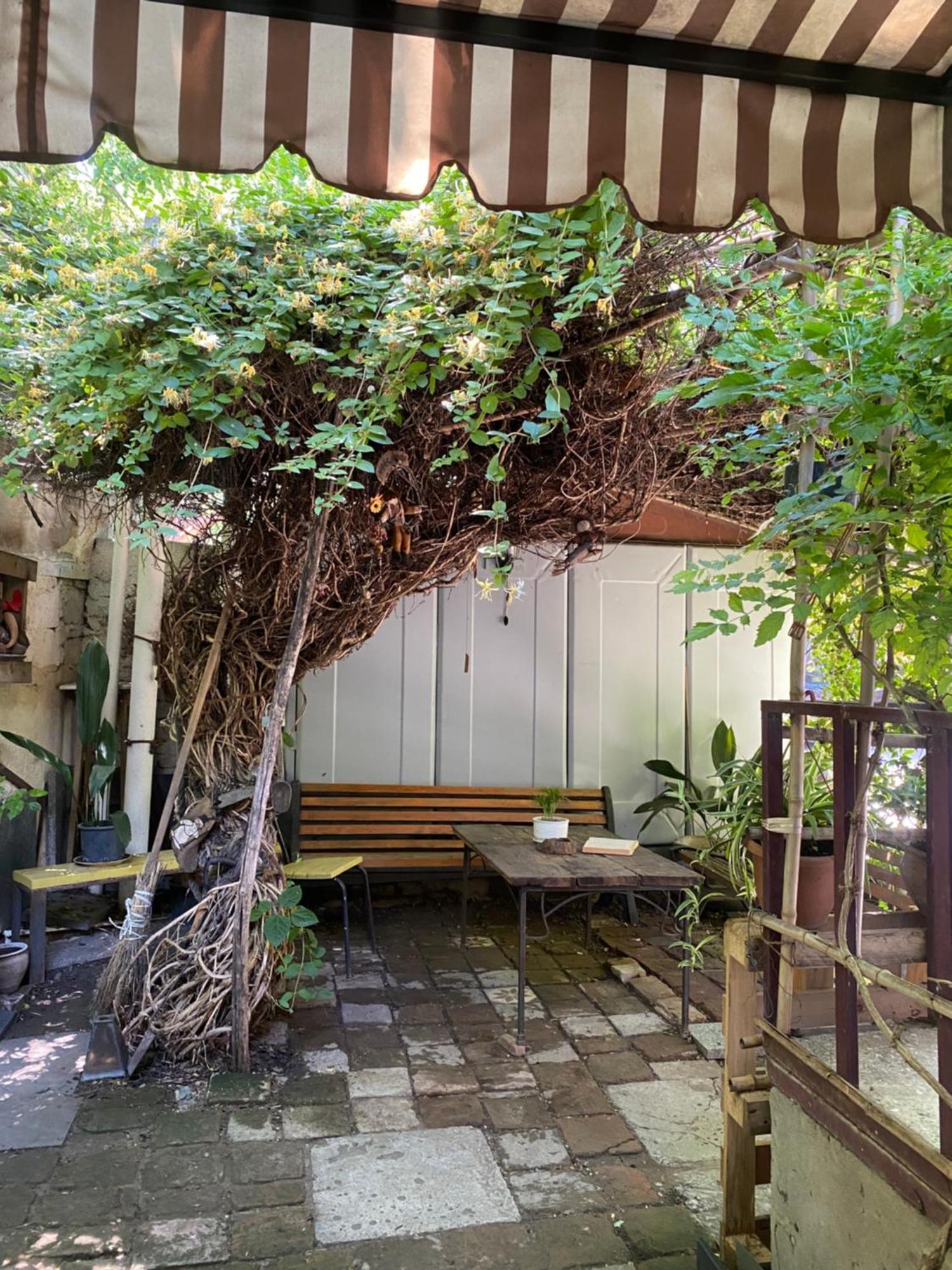 Cozy Zandukeli N15 - City Centre Tbilisi Ngoại thất bức ảnh
